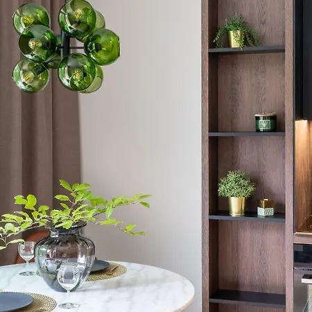 Modern Boutique In The Center Apartment Druskininkai
